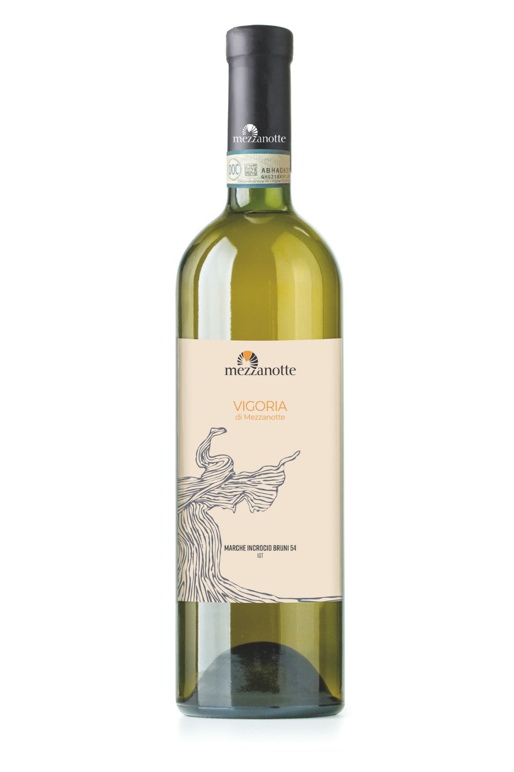 Vigoria – Cantina Mezzanotte