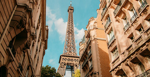 Cantina Mezzanotte a Wine Paris 2026 | I vini marchigiani a Parigi